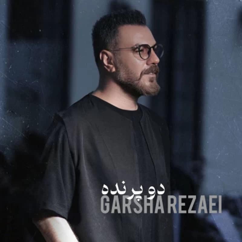 دو پرنده گرشا رضایی
