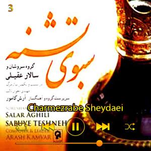 دانلود آهنگ چرم ضراب شیدایی (آلبوم سبوی تشنه) 03 از سالار عقیلی