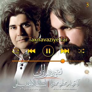 دانلود آهنگ تکنوازی تار (آلبوم نغمه ی همرازان) 03 از سالار عقیلی