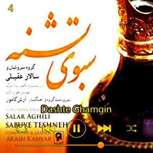دانلود آهنگ دشت غمگین (آلبوم سبوی تشنه) 04 از سالار عقیلی