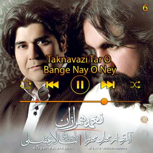 دانلود آهنگ تکنوازی تار و بانگ نای و نی (آلبوم نغمه ی همرازان) 06 از سالار عقیلی