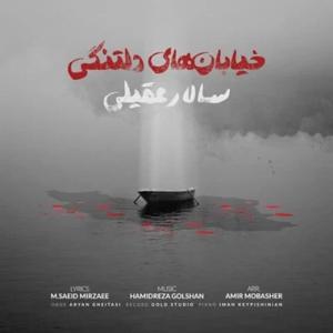 دانلود آهنگ خیابانهای دلتنگی از سالار عقیلی