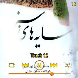 دانلود آهنگ ترک 12 (آلبوم سایه های سبز) 12 از سالار عقیلی